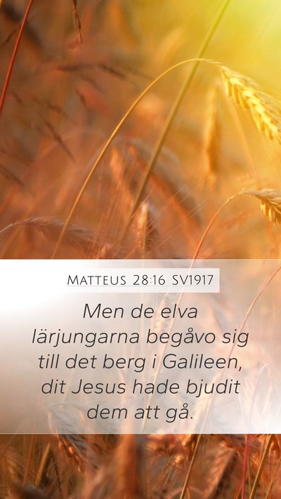 Matteus 28:16 SV1917 Bible Verse Image