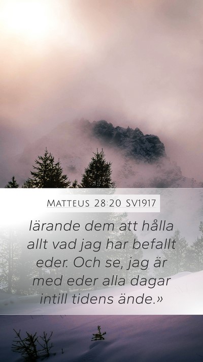 Matteus 28:20 SV1917 Bible Verse Image