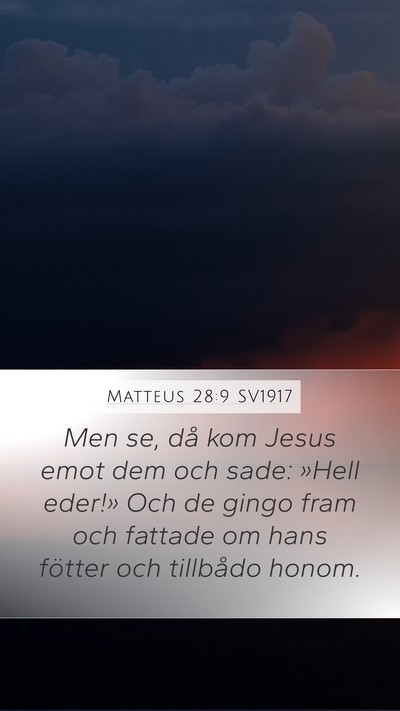 Matteus 28:9 SV1917 Bible Verse Image