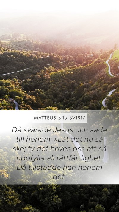 Matteus 3:15 SV1917 Bible Verse Image