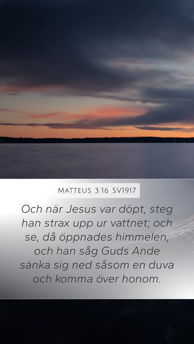 Matteus 3:16 SV1917 Bible Verse Image