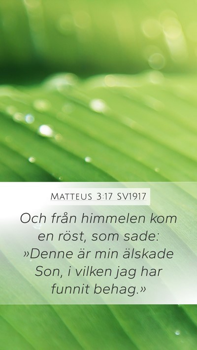 Matteus 3:17 SV1917 Bible Verse Image