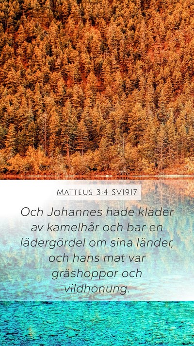 Matteus 3:4 SV1917 Bible Verse Image