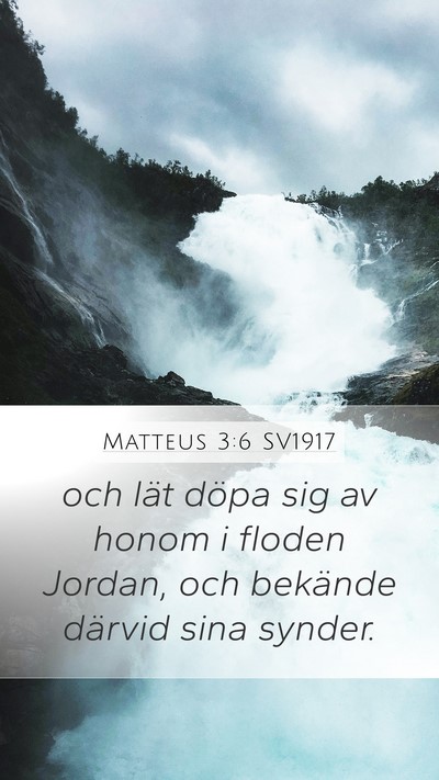 Matteus 3:6 SV1917 Bible Verse Image