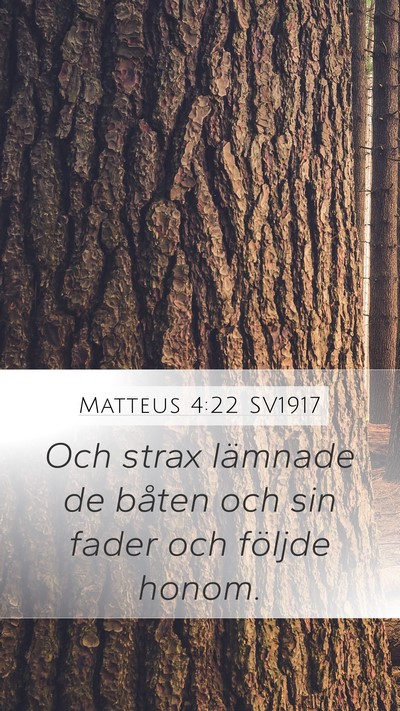 Matteus 4:22 SV1917 Bible Verse Image