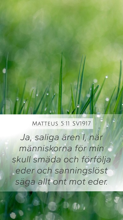 Matteus 5:11 SV1917 Bible Verse Image