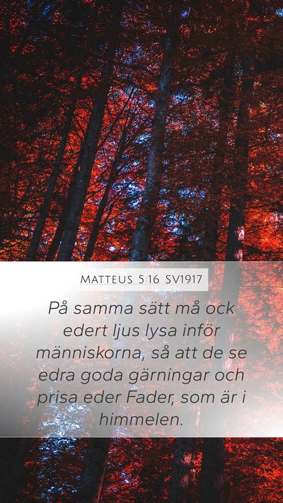 Matteus 5:16 SV1917 Bible Verse Image