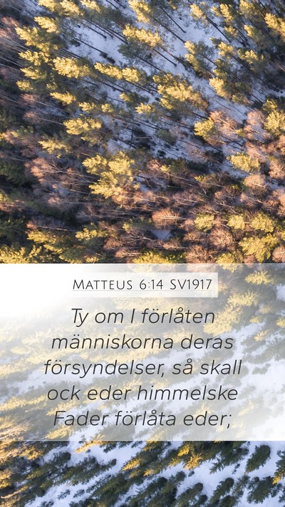 Matteus 6:14 SV1917 Bible Verse Image