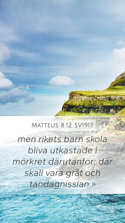 Matteus 8:12 SV1917 Bible Verse Image