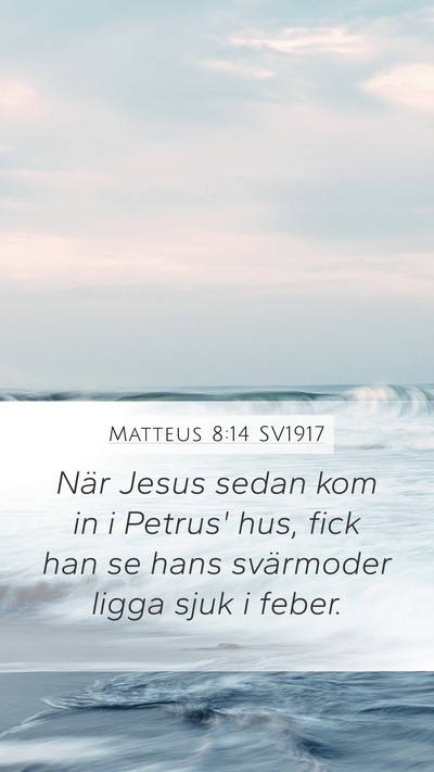 Matteus 8:14 SV1917 Bible Verse Image