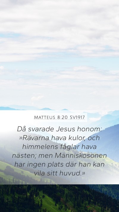 Matteus 8:20 SV1917 Bible Verse Image
