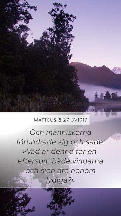 Matteus 8:27 SV1917 Bible Verse Image