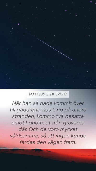 Matteus 8:28 SV1917 Bible Verse Image