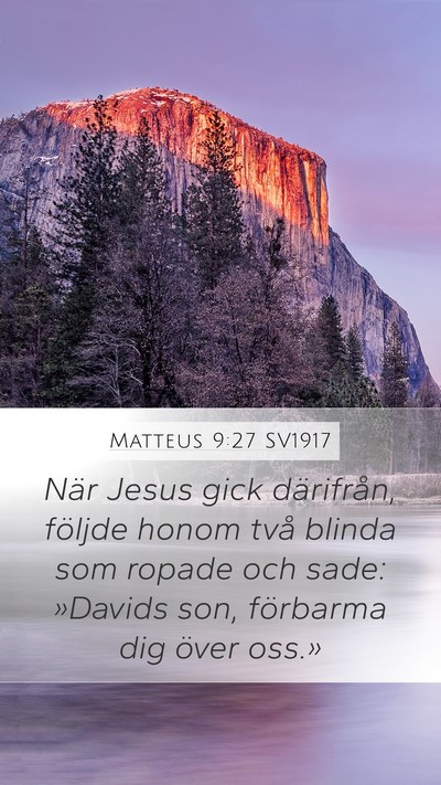 Matteus 9:27 SV1917 Bible Verse Image