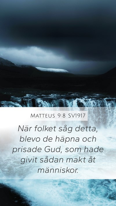 Matteus 9:8 SV1917 Bible Verse Image