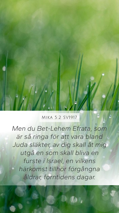 Mika 5:2 SV1917 Bible Verse Image