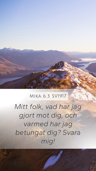 Mika 6:3 SV1917 Bible Verse Image