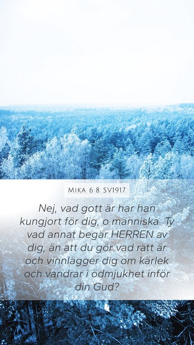 Mika 6:8 SV1917 Bible Verse Image