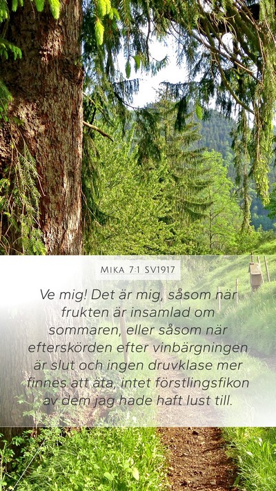 Mika 7:1 SV1917 Bible Verse Image