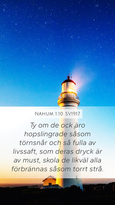 Nahum 1:10 SV1917 Bible Verse Image