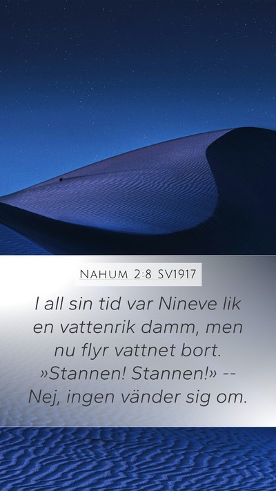 Nahum 2:8 SV1917 Bible Verse Image