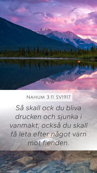 Nahum 3:11 SV1917 Bible Verse Image