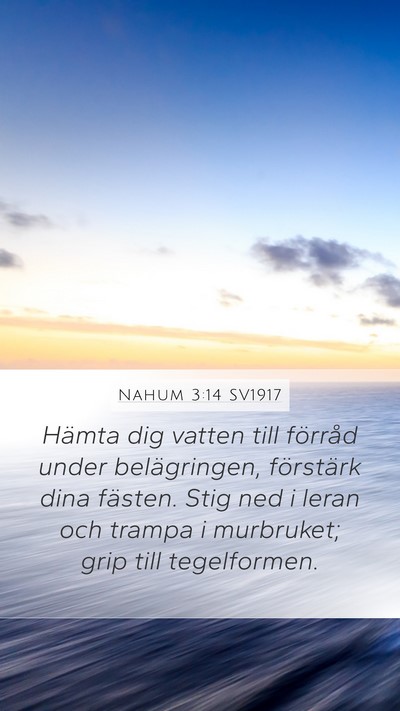 Nahum 3:14 SV1917 Bible Verse Image