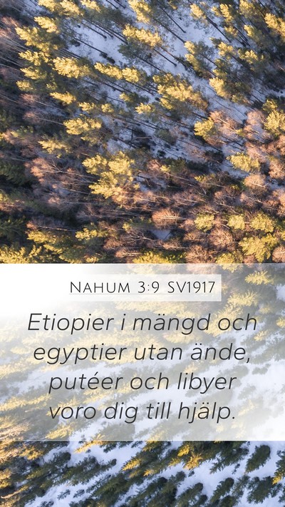 Nahum 3:9 SV1917 Bible Verse Image