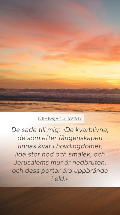 Nehemja 1:3 SV1917 Bible Verse Image