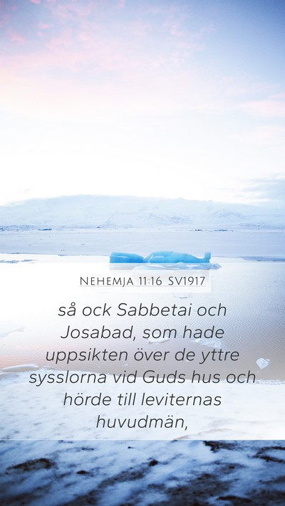 Nehemja 11:16 SV1917 Bible Verse Image