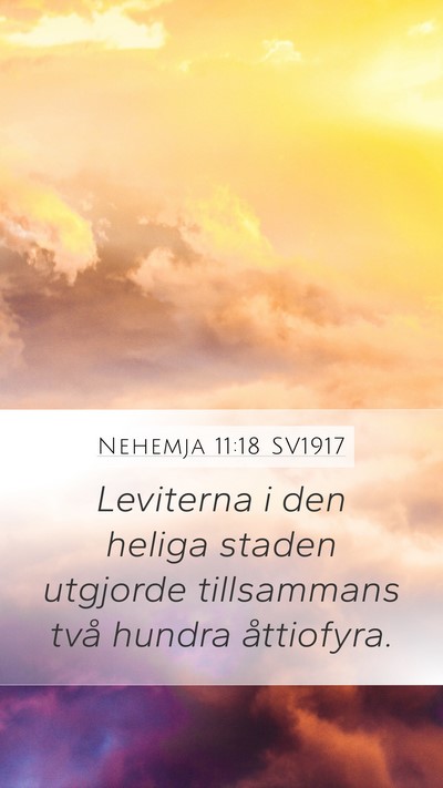 Nehemja 11:18 SV1917 Bible Verse Image