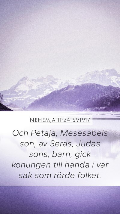 Nehemja 11:24 SV1917 Bible Verse Image