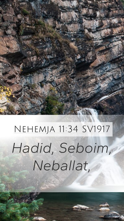 Nehemja 11:34 SV1917 Bible Verse Image