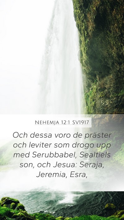 Nehemja 12:1 SV1917 Bible Verse Image