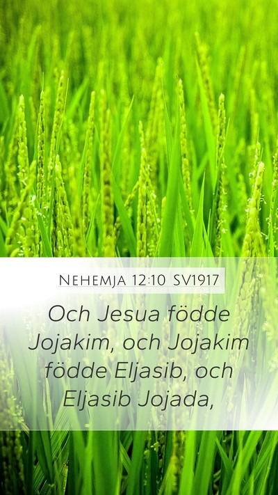 Nehemja 12:10 SV1917 Bible Verse Image