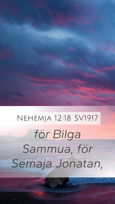 Nehemja 12:18 SV1917 Bible Verse Image