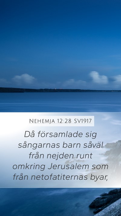 Nehemja 12:28 SV1917 Bible Verse Image