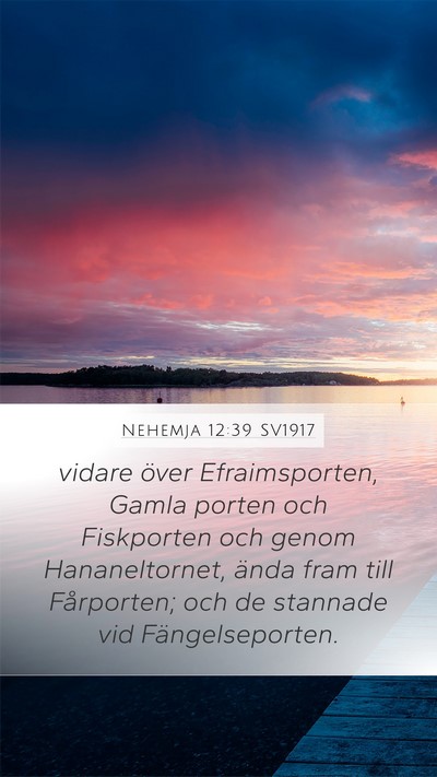 Nehemja 12:39 SV1917 Bible Verse Image
