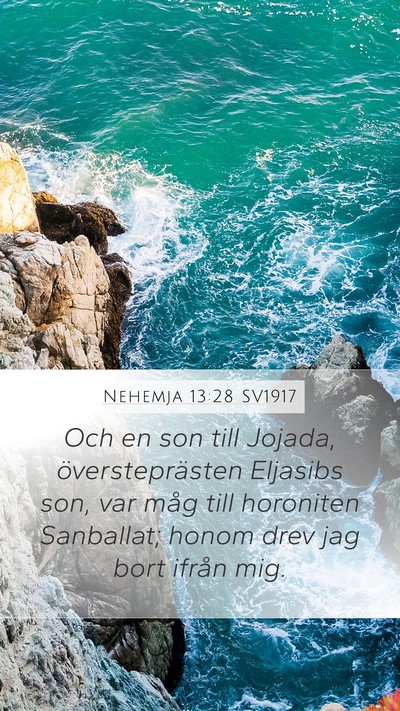 Nehemja 13:28 SV1917 Bible Verse Image