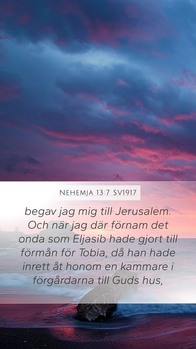 Nehemja 13:7 SV1917 Mobile Phone Wallpaper - begav jag mig till Jerusalem. Och när jag där - Mobile Bible Verse Wallpaper