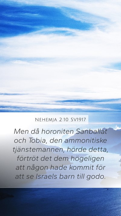 Nehemja 2:10 SV1917 Bible Verse Image