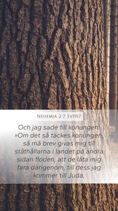 Nehemja 2:7 SV1917 Mobile Phone Wallpaper - Och jag sade till konungen: »Om det så täckes - Mobile Bible Verse Wallpaper