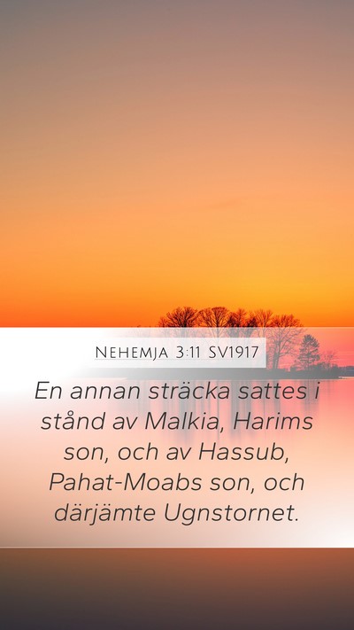 Nehemja 3:11 SV1917 Bible Verse Image
