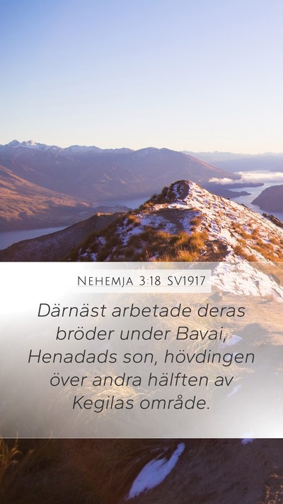 Nehemja 3:18 SV1917 Bible Verse Image