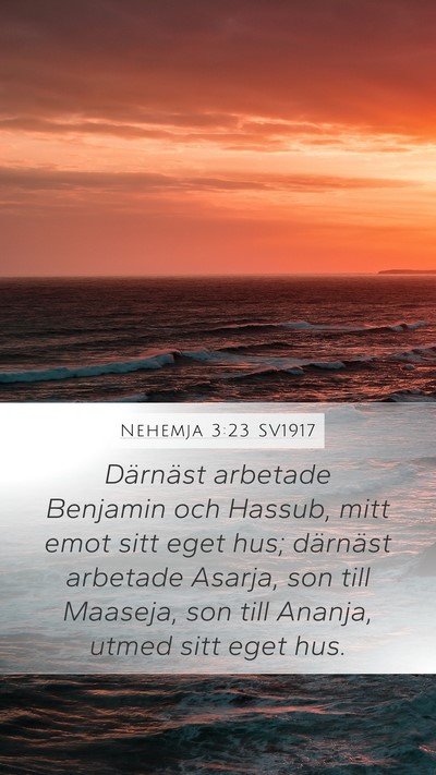 Nehemja 3:23 SV1917 Bible Verse Image