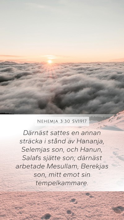 Nehemja 3:30 SV1917 Bible Verse Image