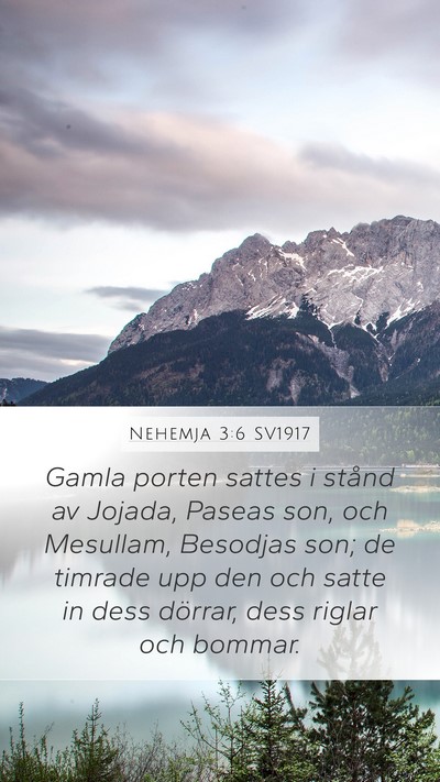Nehemja 3:6 SV1917 Bible Verse Image