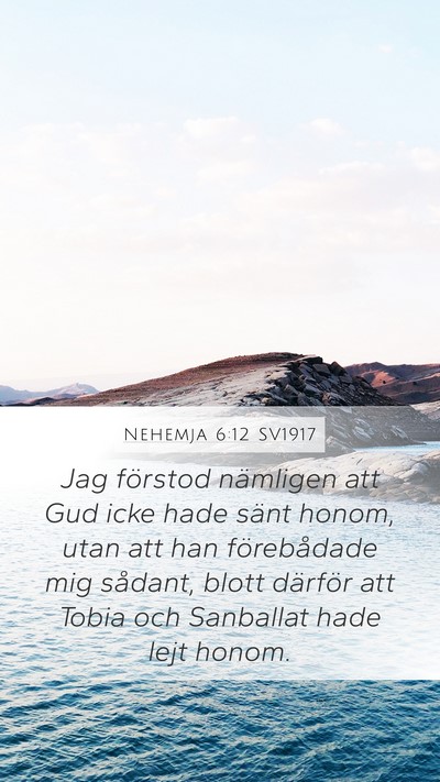 Nehemja 6:12 SV1917 Bible Verse Image