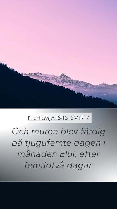 Nehemja 6:15 SV1917 Bible Verse Image