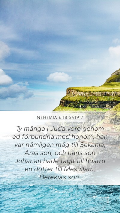 Nehemja 6:18 SV1917 Bible Verse Image